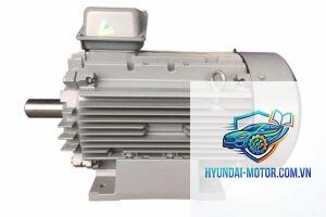 motor điện là gì