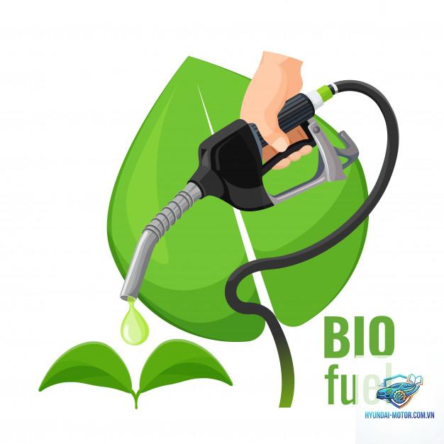 nhiên liệu sinh học là gì - Hình 3