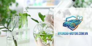 nhiên liệu sinh học là gì
