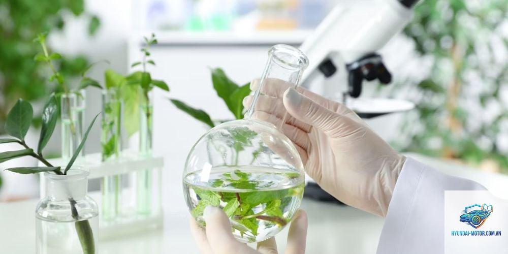 nhiên liệu sinh học là gì