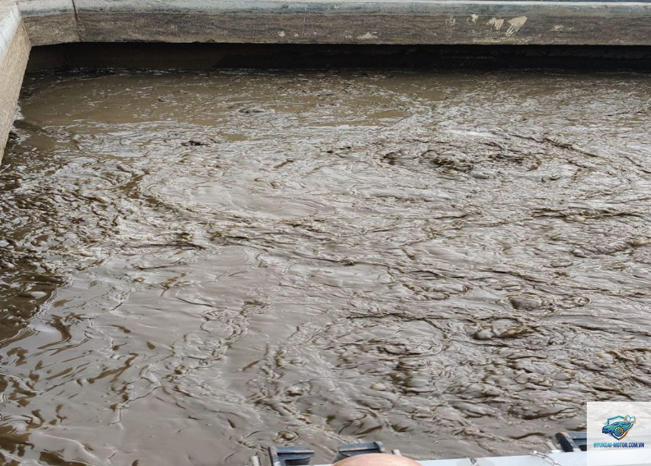 oil sludge là gì - Hình 5