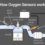 oxygen sensor là gì