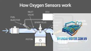 oxygen sensor là gì