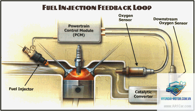 oxygen sensor là gì - Hình 4