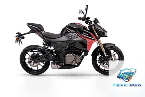 qjmotor srk 300 - Hình 2