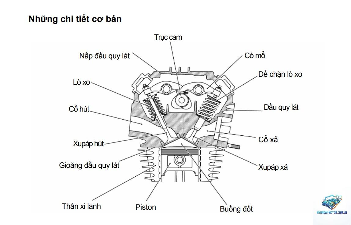 quy lát là gì - Hình 3