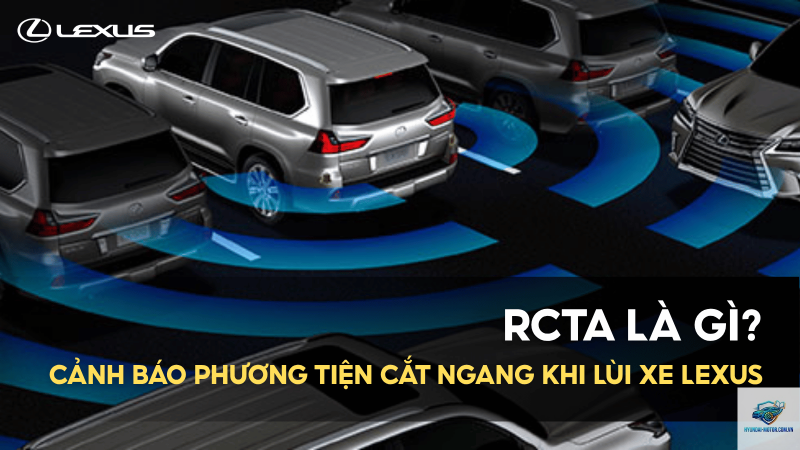 rcta là gì - Hình 2