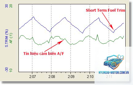 short term fuel trim là gì - Hình 5