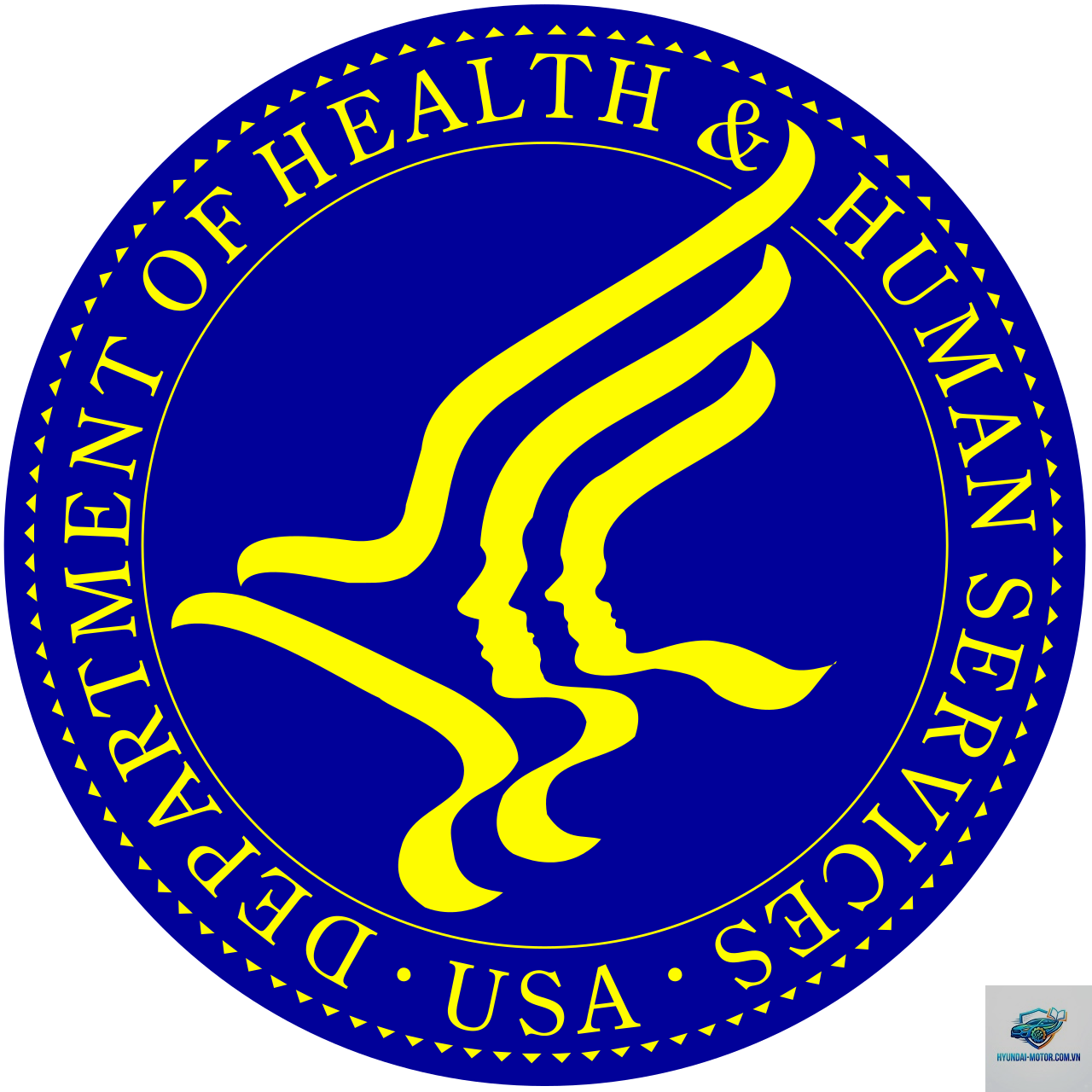 state of health là gì - Hình 1