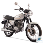 Sym Husky: Giải Mã Toàn Diện Về Giống Chó Husky Thu Nhỏ Đang Gây Bão