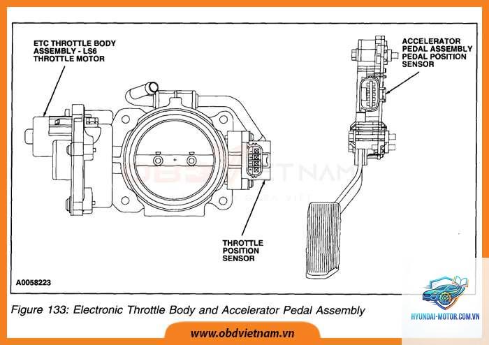 throttle body là gì - Hình 4