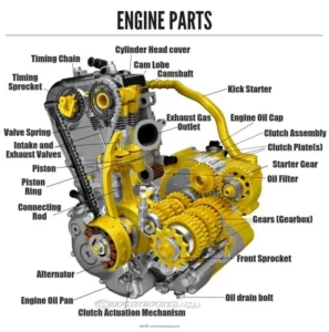 timing chain là gì