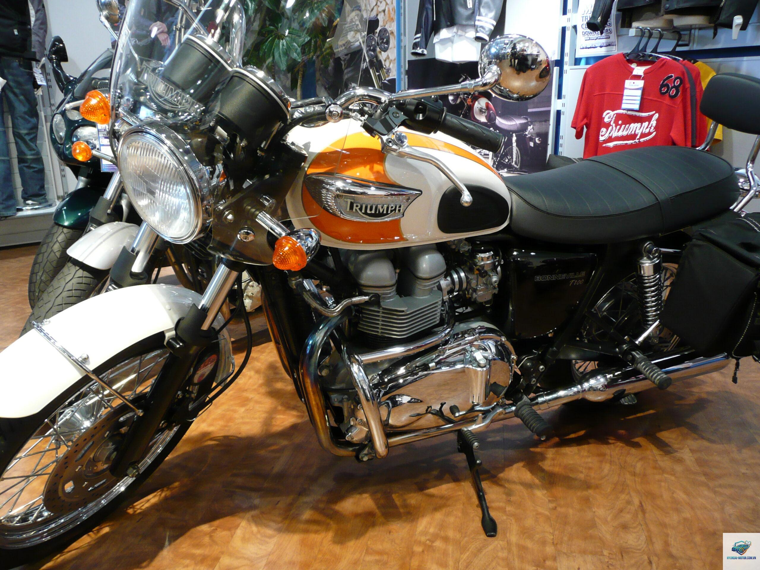triumph bonneville t100 - Hình 4