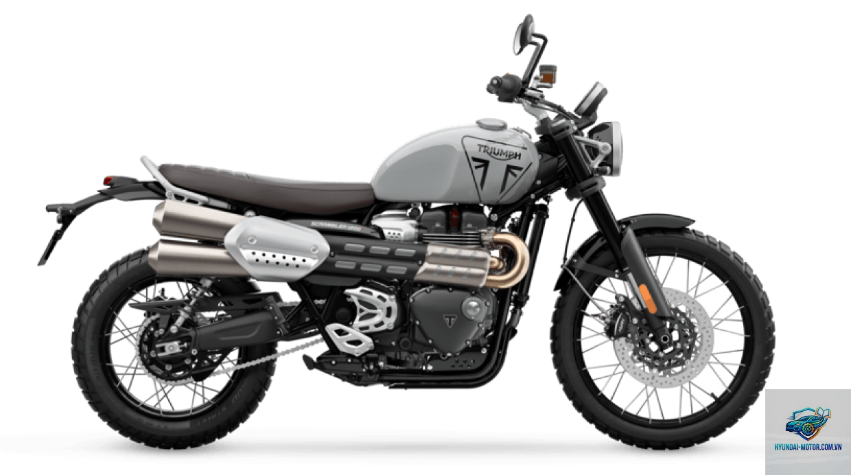 triumph scrambler 400x - Hình 5