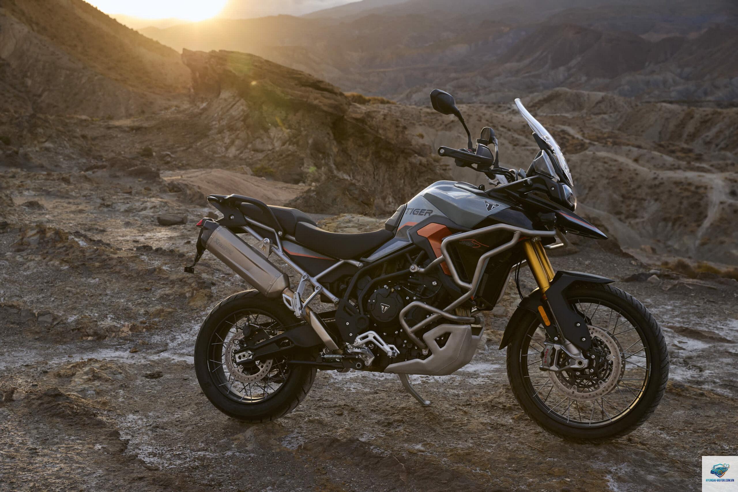 triumph tiger 900 - Hình 2