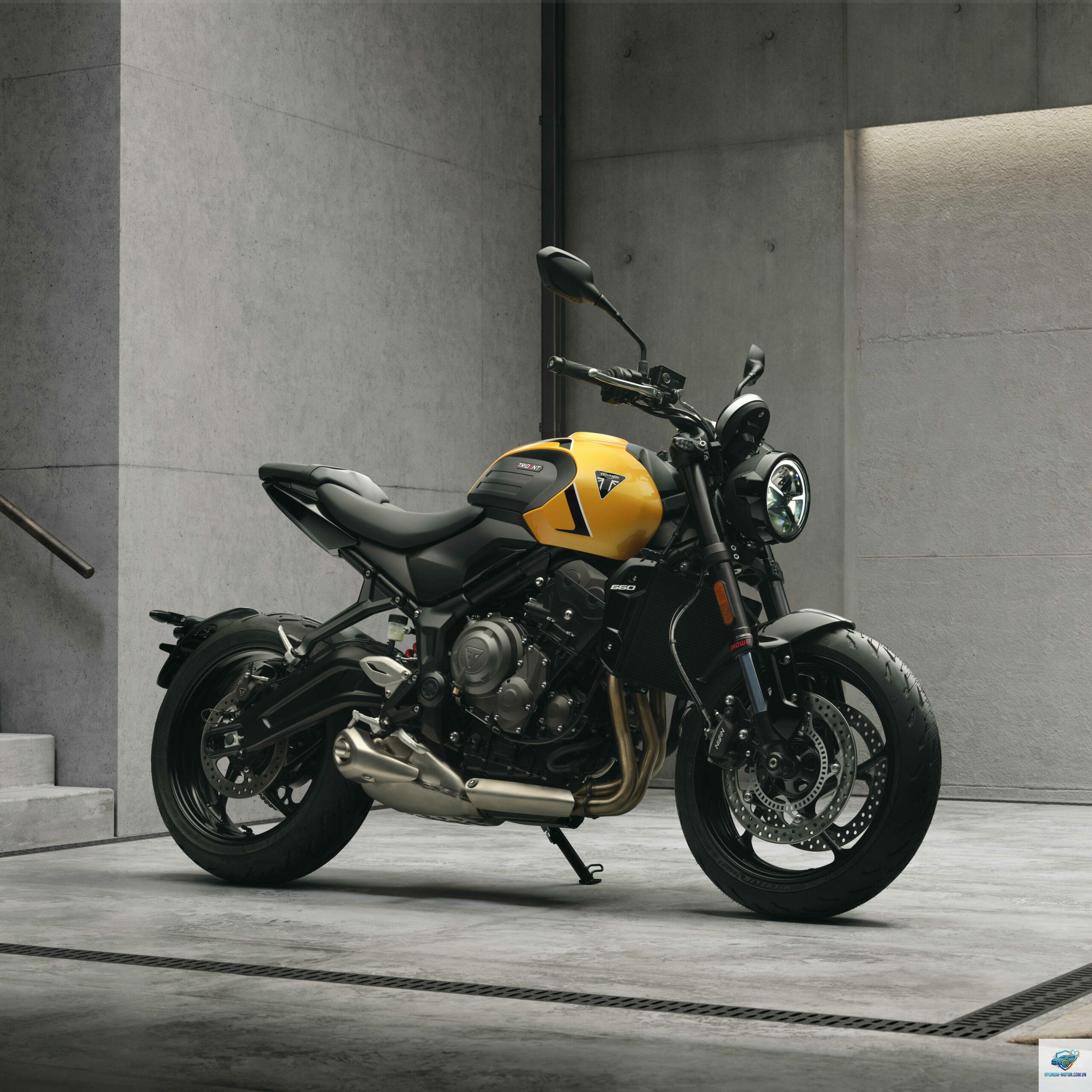 triumph trident 660 - Hình 2