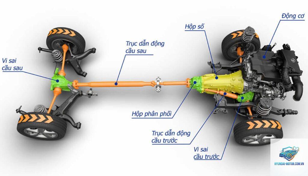 trục các đăng là gì