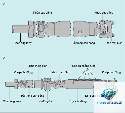 trục các đăng là gì - Hình 4