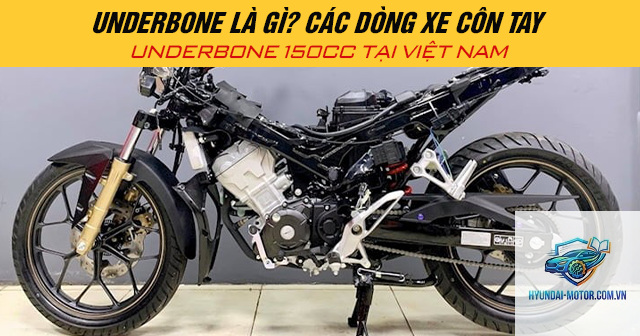 underbone là gì