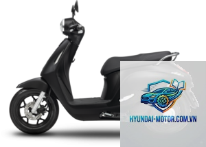 vinfast evo200