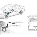 wheel speed sensor là gì