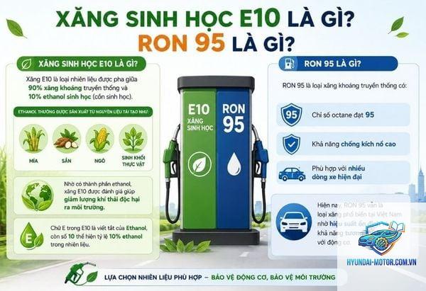 xăng ron 95 là gì - Hình 5