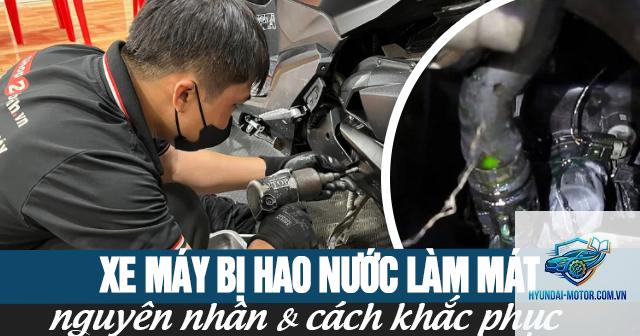 xe máy bị hao nước làm mát - Hình 2