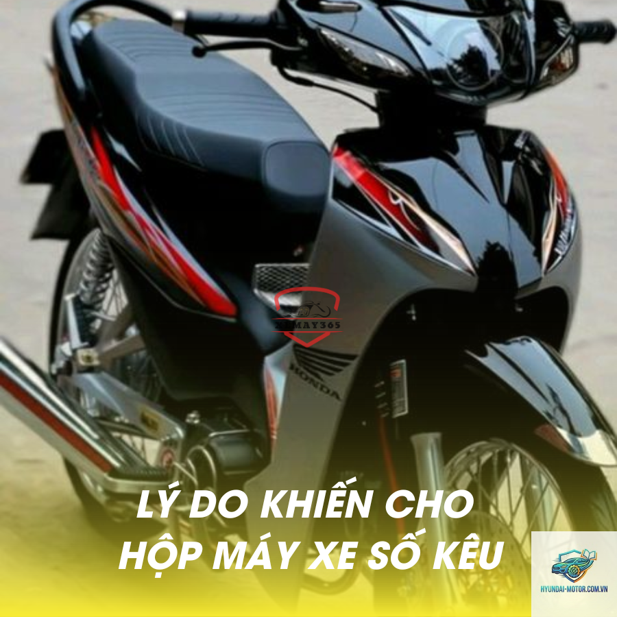 xe máy bị kêu từ hộp số - Hình 2
