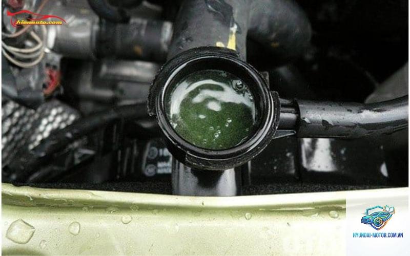 xe máy bị sôi nước làm mát - Hình 1