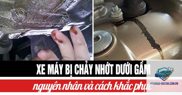 xe máy chảy nhớt - Hình 3