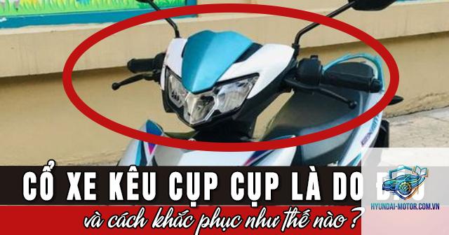 xe máy cổ lái bị kêu - Hình 2