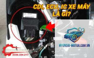 xe máy ecu bị hỏng