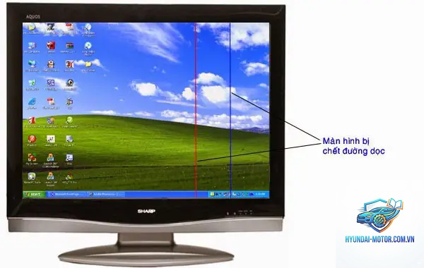 xe máy màn hình lcd bị sọc - Hình 3