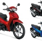 xe số là gì
