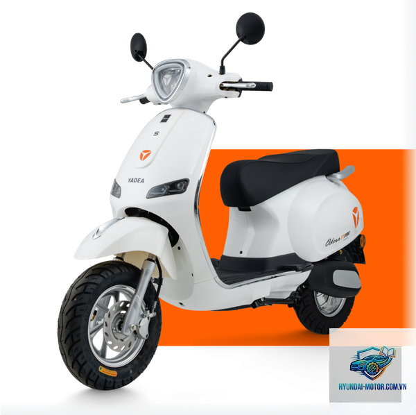 yadea odora - Hình 3