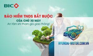 Bảo hiểm BIC xe máy