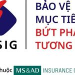 Bảo hiểm MSIG ô tô: Toàn diện từ A đến Z cho chủ xe thông thái Bảo hiểm MSIG ô tô
