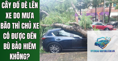 Bảo hiểm có đền khi cây đổ vào xe không - Hình 2