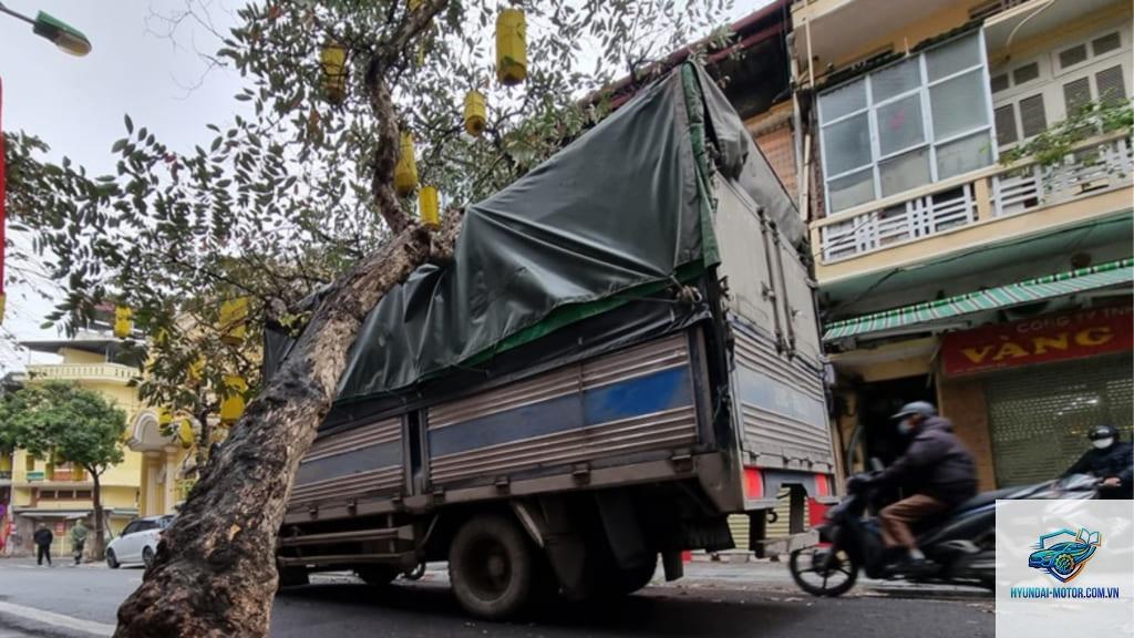 Bảo hiểm có đền khi cây đổ vào xe không - Hình 4