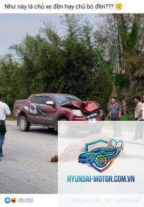 Bảo hiểm có đền khi đâm động vật không