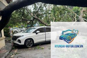 Bảo hiểm có đền khi xe bị bão làm hư hỏng không