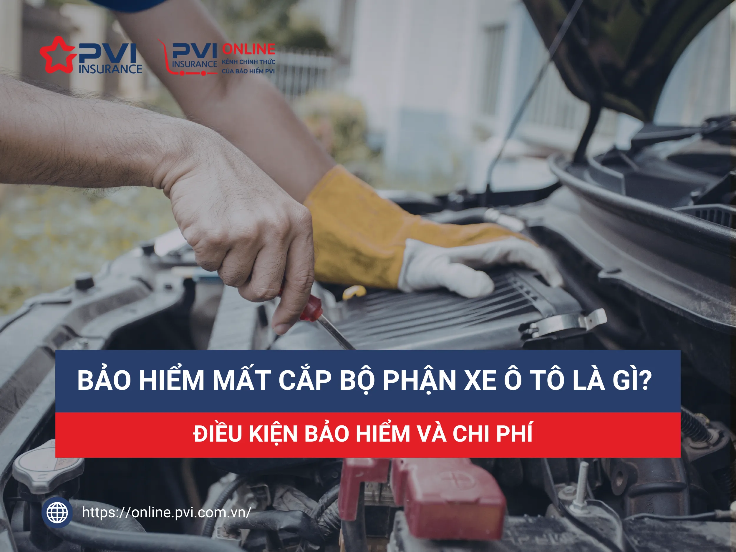 Bảo hiểm mất cắp xe ô tô - Hình 5