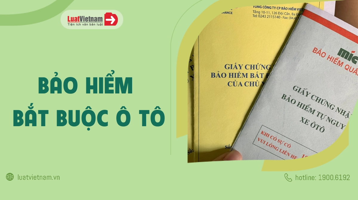 Bảo hiểm ô tô bắt buộc - Hình 2