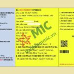 Bảo hiểm trách nhiệm dân sự ô tô