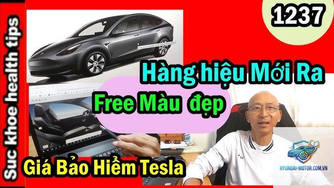 Bảo hiểm xe Tesla - Hình 2