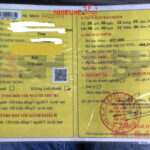 Bảo hiểm xe khách: Hướng dẫn toàn diện từ A đến Z cho chủ xe và doanh nghiệp vận tải Bảo hiểm xe khách