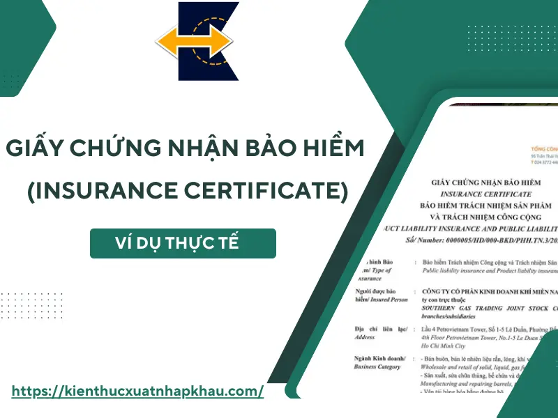 Cách đọc giấy chứng nhận bảo hiểm - Hình 2