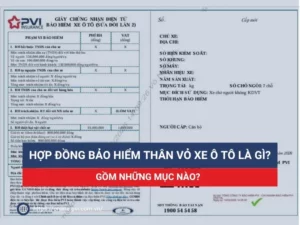 Cách đọc hợp đồng bảo hiểm ô tô