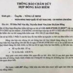 Có được hủy hợp đồng bảo hiểm xe không