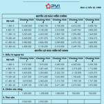 Đánh giá bảo hiểm PVI
